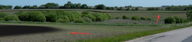 A field with a red object

Description automatically generated