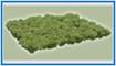 A picture containing text, vegetable, broccoli

Description automatically generated