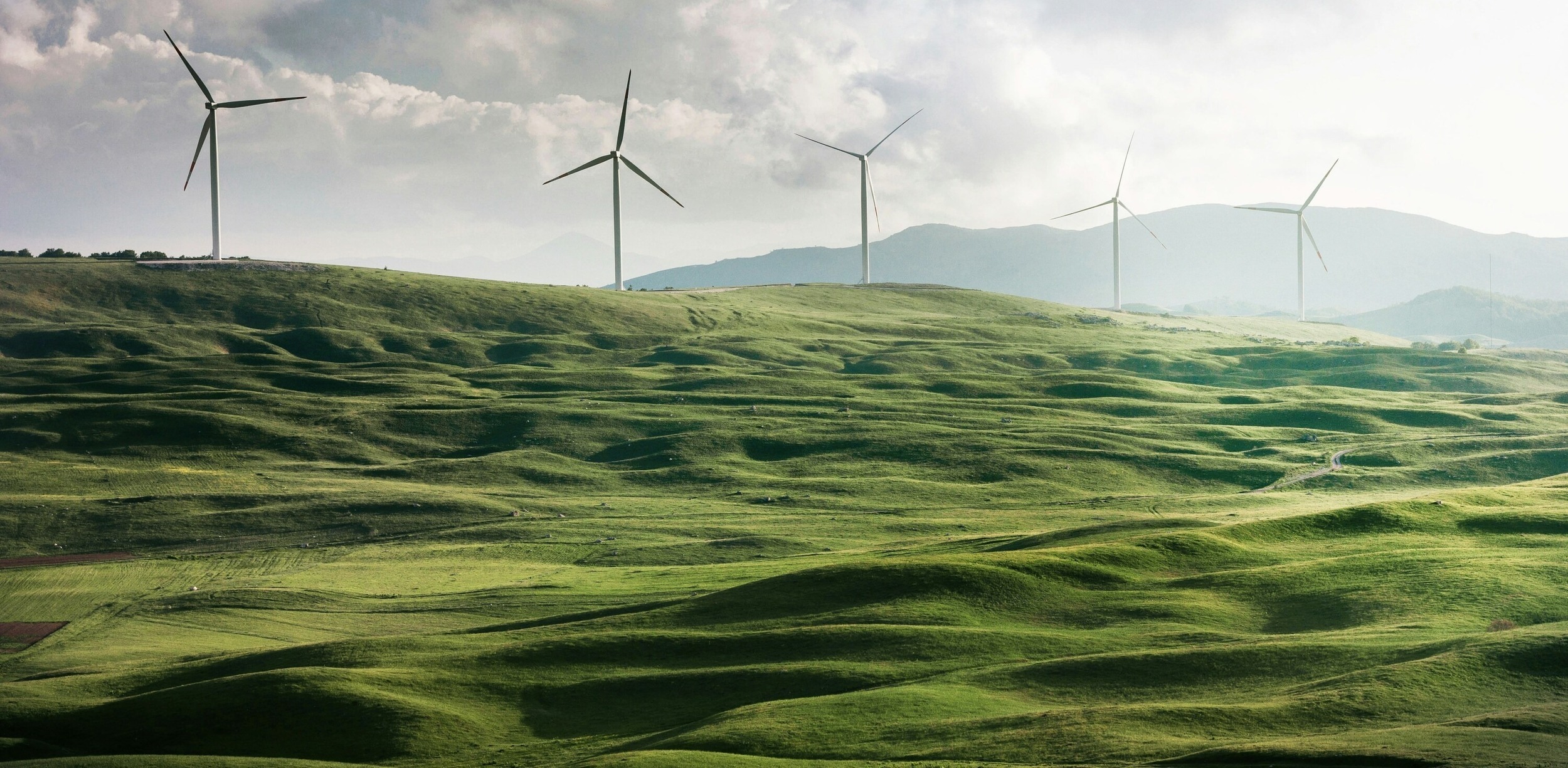 appolinary-kalashnikova-WYGhTLym344-unsplash-1-1-1