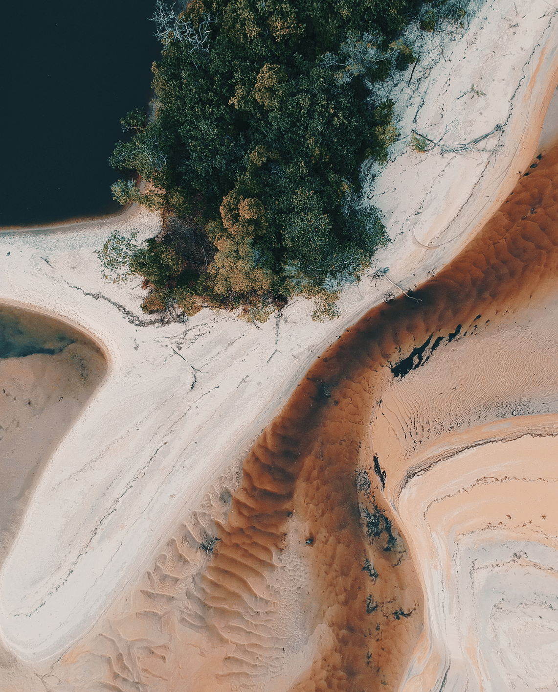 energyPRO decarbonization (Pexels)