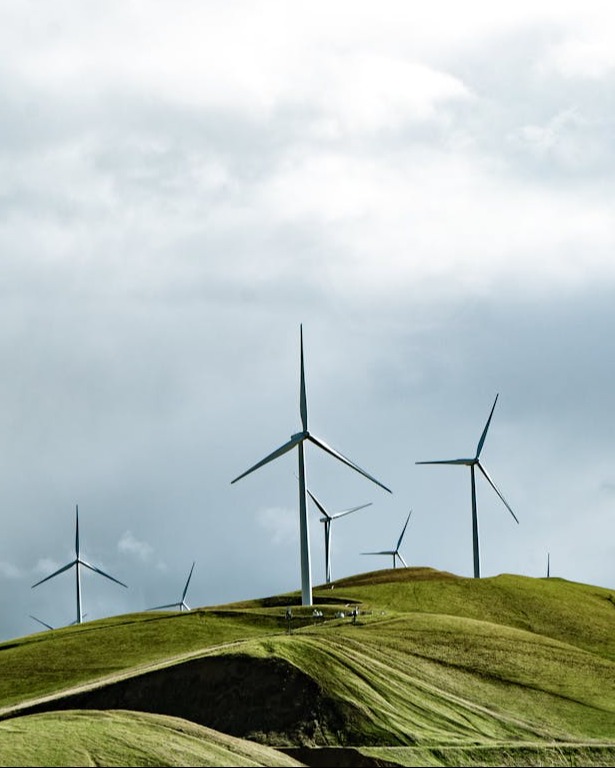wind turbines on a field, lifetime optimisation in windPRO